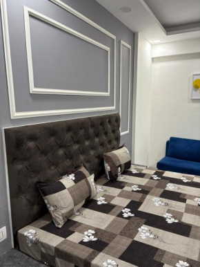 Elegant Studio Apt in DLF CapitalGreens West Delhi